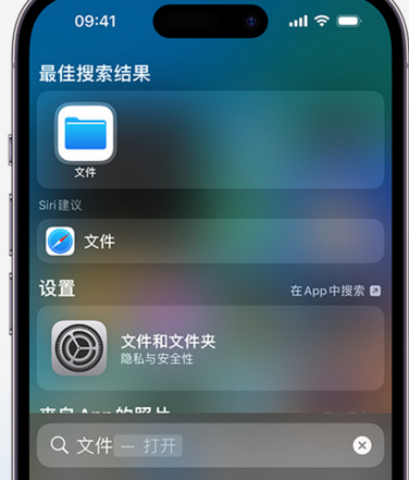 周矶办事处apple维修中心分享iPhone文件应用中存储和找到下载文件