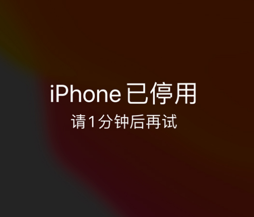 周矶办事处苹果手机维修分享:iPhone 显示“不可用”或“已停用”怎么办？还能保留数据吗？ 