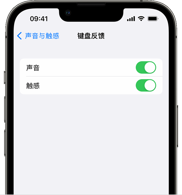 周矶办事处苹果14维修店分享如何在 iPhone 14 机型中使用触感键盘 