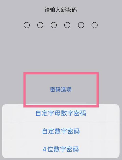 周矶办事处苹果14维修分享iPhone 14plus设置密码的方法 