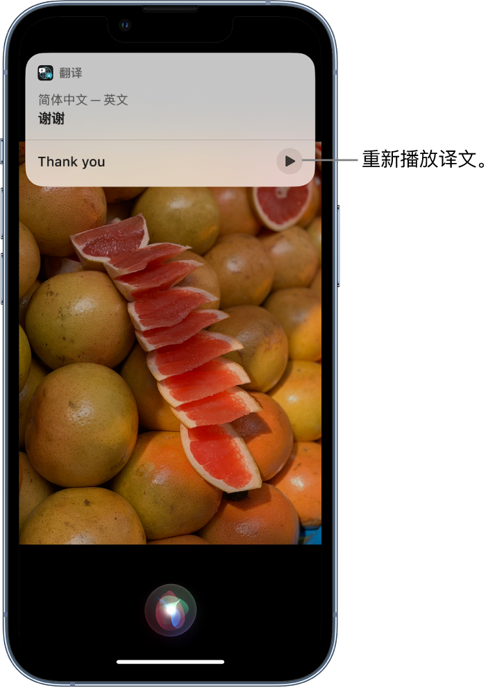 周矶办事处苹果14维修分享 iPhone 14 机型中使用 Siri：了解 Siri 能帮你做什么 