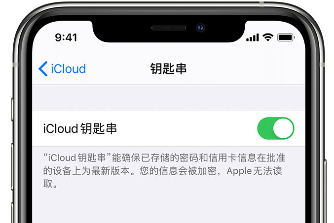 周矶办事处苹果手机维修分享在 iPhone 上开启 iCloud 钥匙串之后会储存哪些信息 