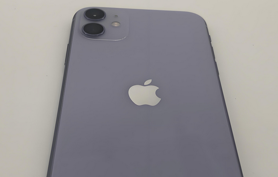 周矶办事处苹果11系统维修分享iPhone11手机系统崩溃无法开机如何解决 